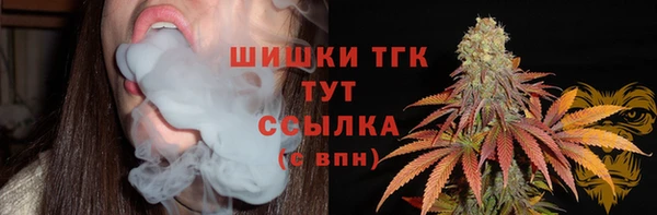 стафф Краснослободск