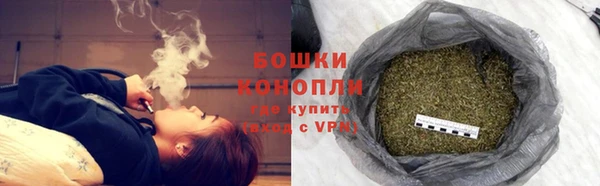 Альфа ПВП Лиски
