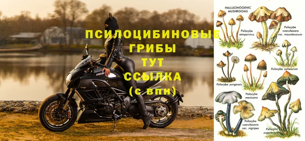 Альфа ПВП Лиски