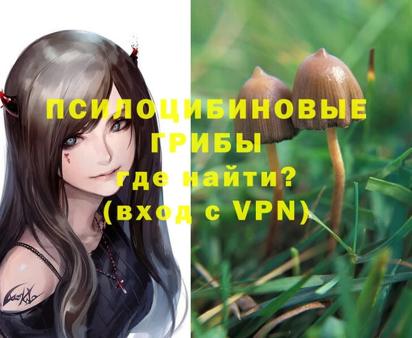 Альфа ПВП Лиски