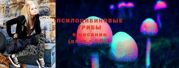 стафф Краснослободск