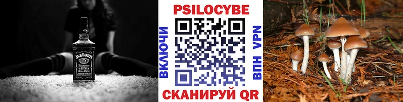 Купить закладки  Десногорск  Псилоцибиновые грибы MAGIC MUSHROOMS 